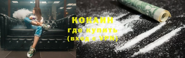 дживик Верхний Тагил