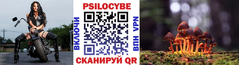 Галлюциногенные грибы MAGIC MUSHROOMS  Жиздра 