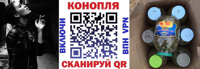 купить наркотики сайты  Жиздра  Бошки Шишки индика 